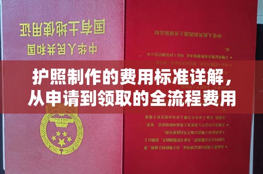 普宁护照制作的费用标准详解，从申请到领取的全流程费用指南