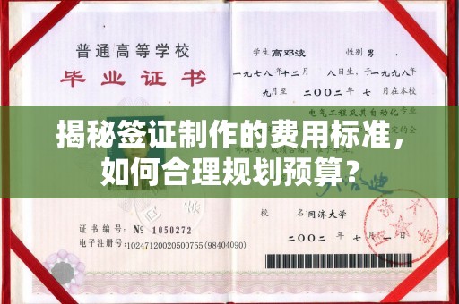 普宁揭秘签证制作的费用标准，如何合理规划预算？