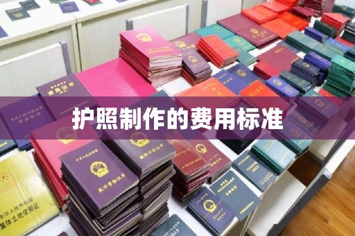 普宁护照制作的费用标准