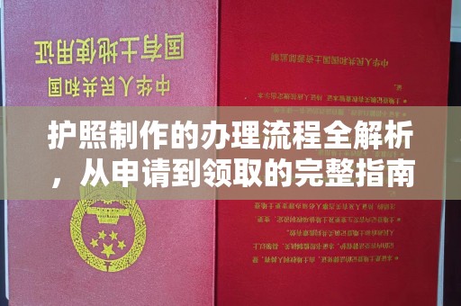 普宁护照制作的办理流程全解析，从申请到领取的完整指南
