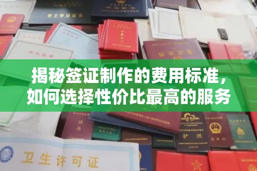 普宁揭秘签证制作的费用标准，如何选择性价比最高的服务？
