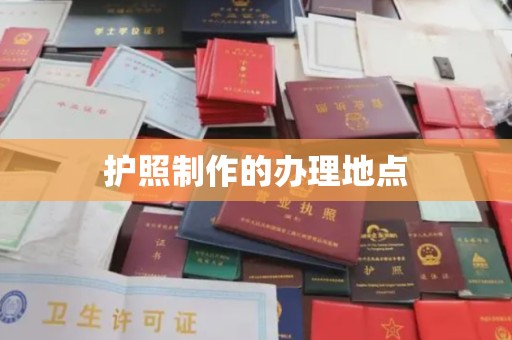 普宁护照制作的办理地点