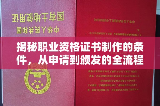 普宁揭秘职业资格证书制作的条件，从申请到颁发的全流程解析