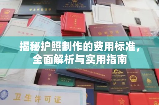 普宁揭秘护照制作的费用标准，全面解析与实用指南