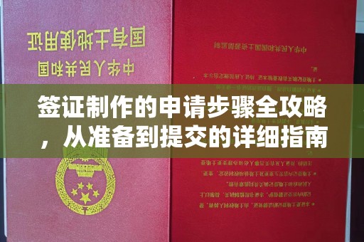 普宁签证制作的申请步骤全攻略，从准备到提交的详细指南