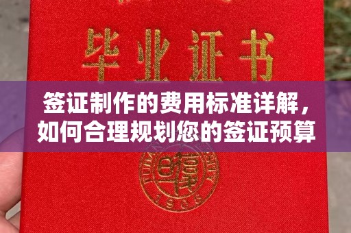 普宁签证制作的费用标准详解，如何合理规划您的签证预算