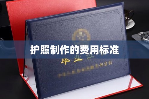 普宁护照制作的费用标准