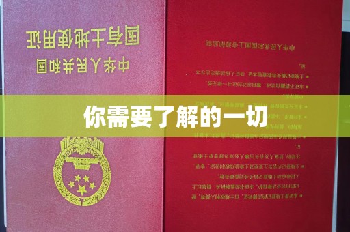普宁你需要了解的一切
